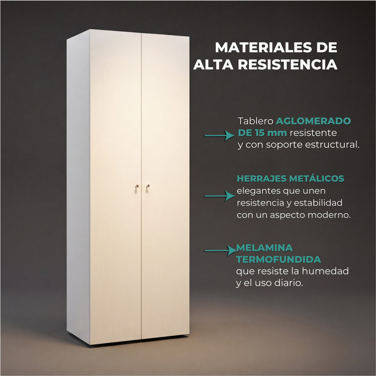 TUHOME CONCEPT Armario Home Dreams M1 de 170 cm con 2 puertas, barra de colgar y estante, blanco